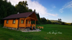 Bieszczady Domek 